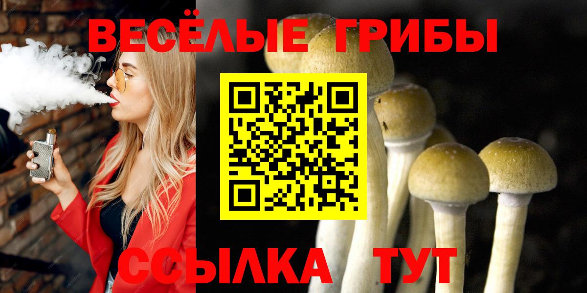 Галлюциногенные грибы Cubensis  Вход с VPN  Псилоцибиновые грибы ЛСД  купить  цена  Елабуга 