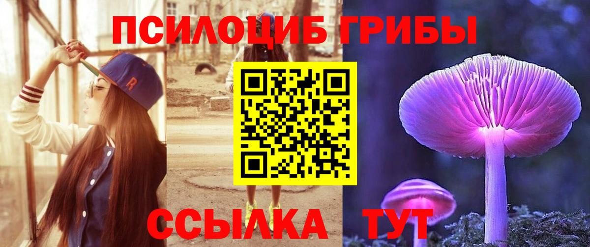 Галлюциногенные грибы ЛСД Елабуга
